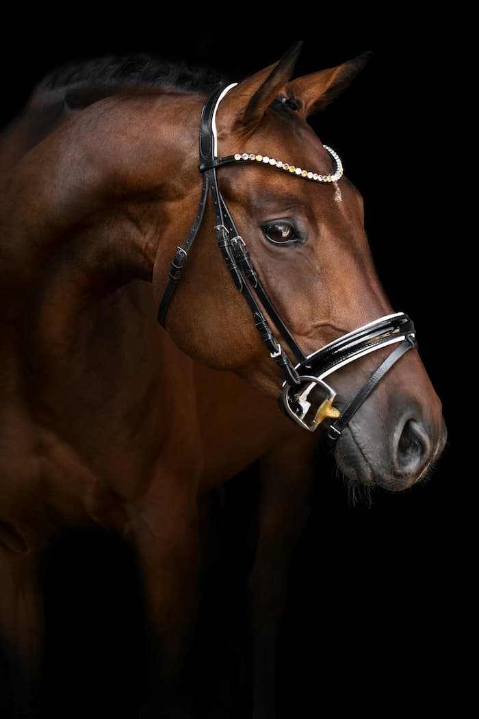 Selles et accessoires